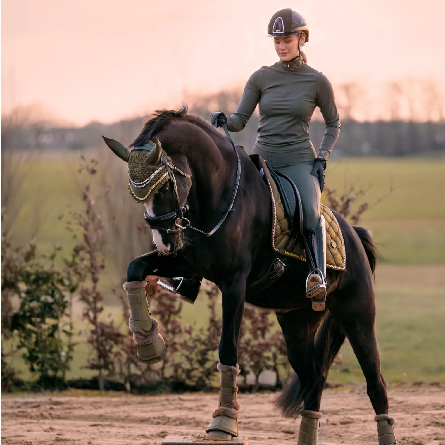 Royal Equestrian Dressage Saddle Pad Olive Gold - Image 5