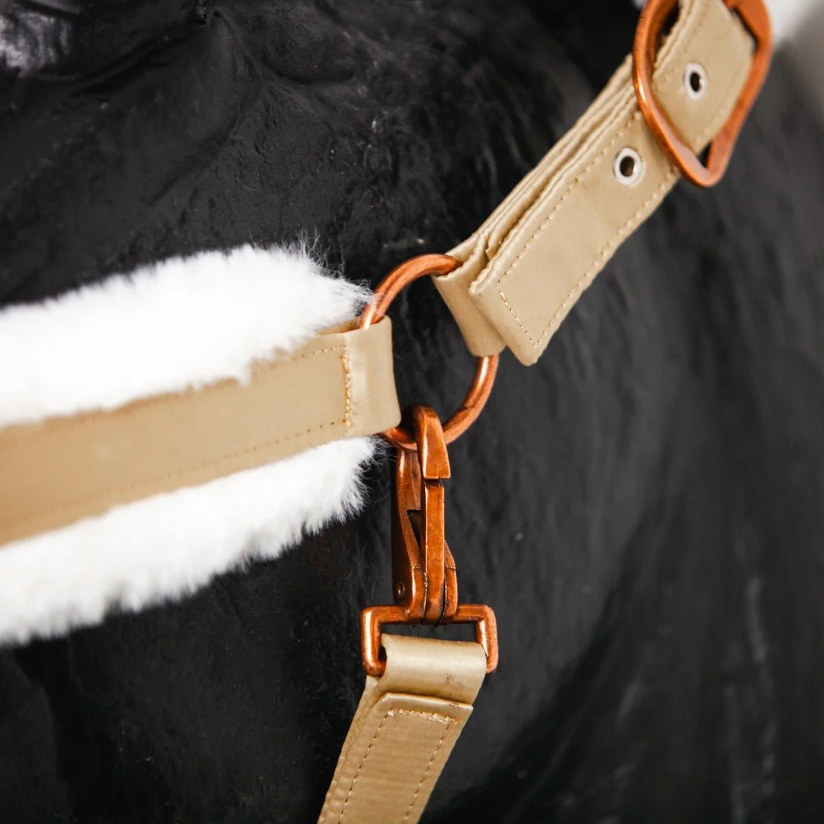 Royal Equestrian Fur Halter Champagne - Image 5