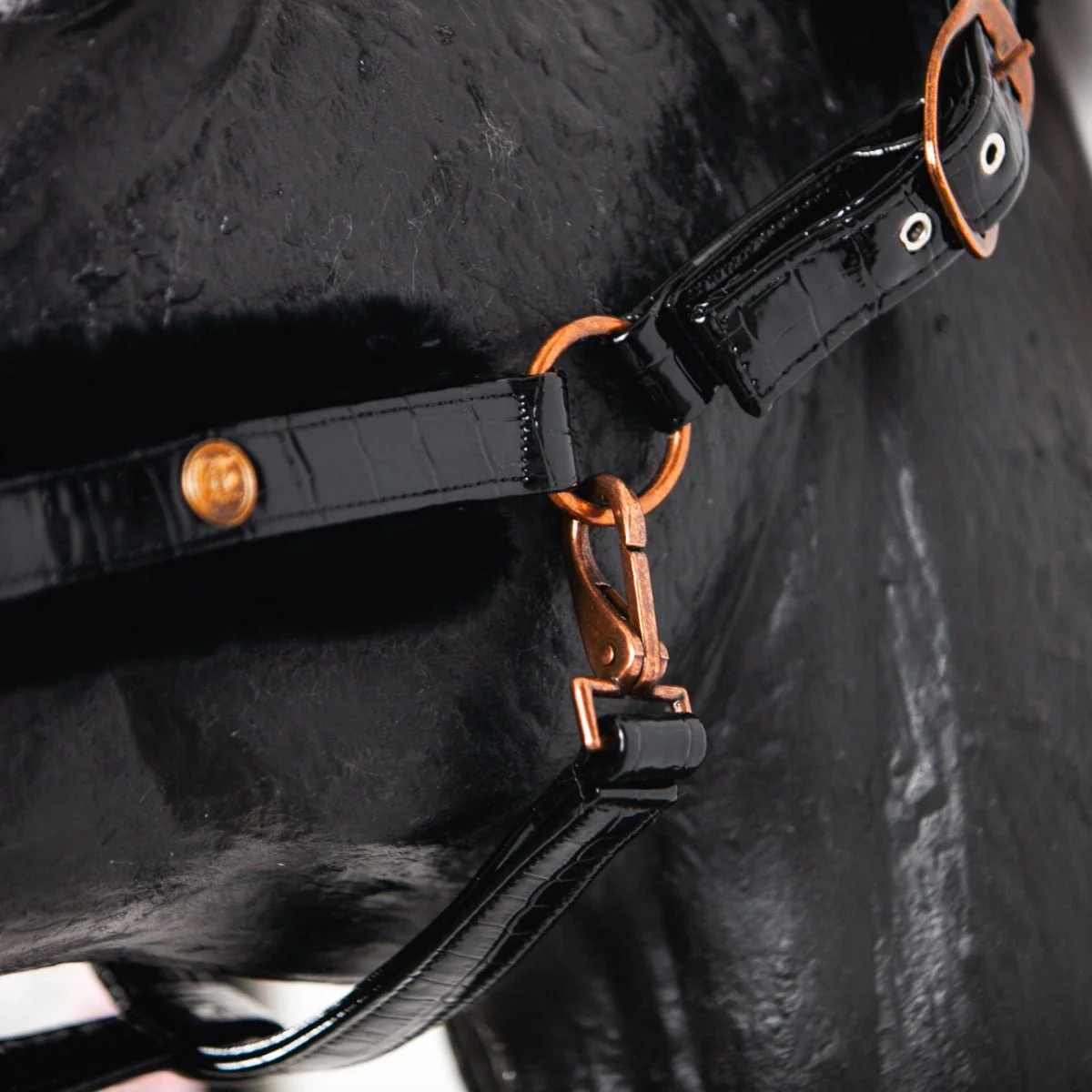 Royal Equestrian Fur Halter Croco Black Full - Image 7