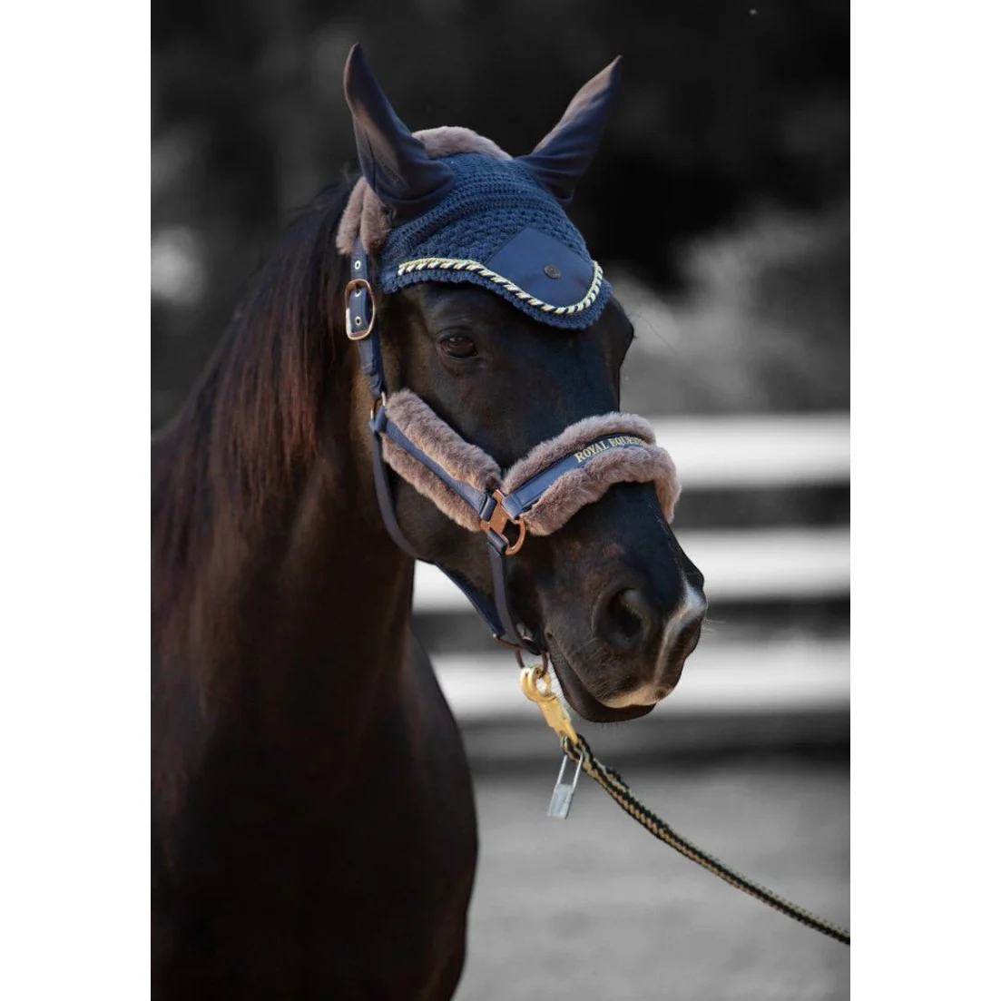 Royal Equestrian Fur Halter Navy Full - Image 5