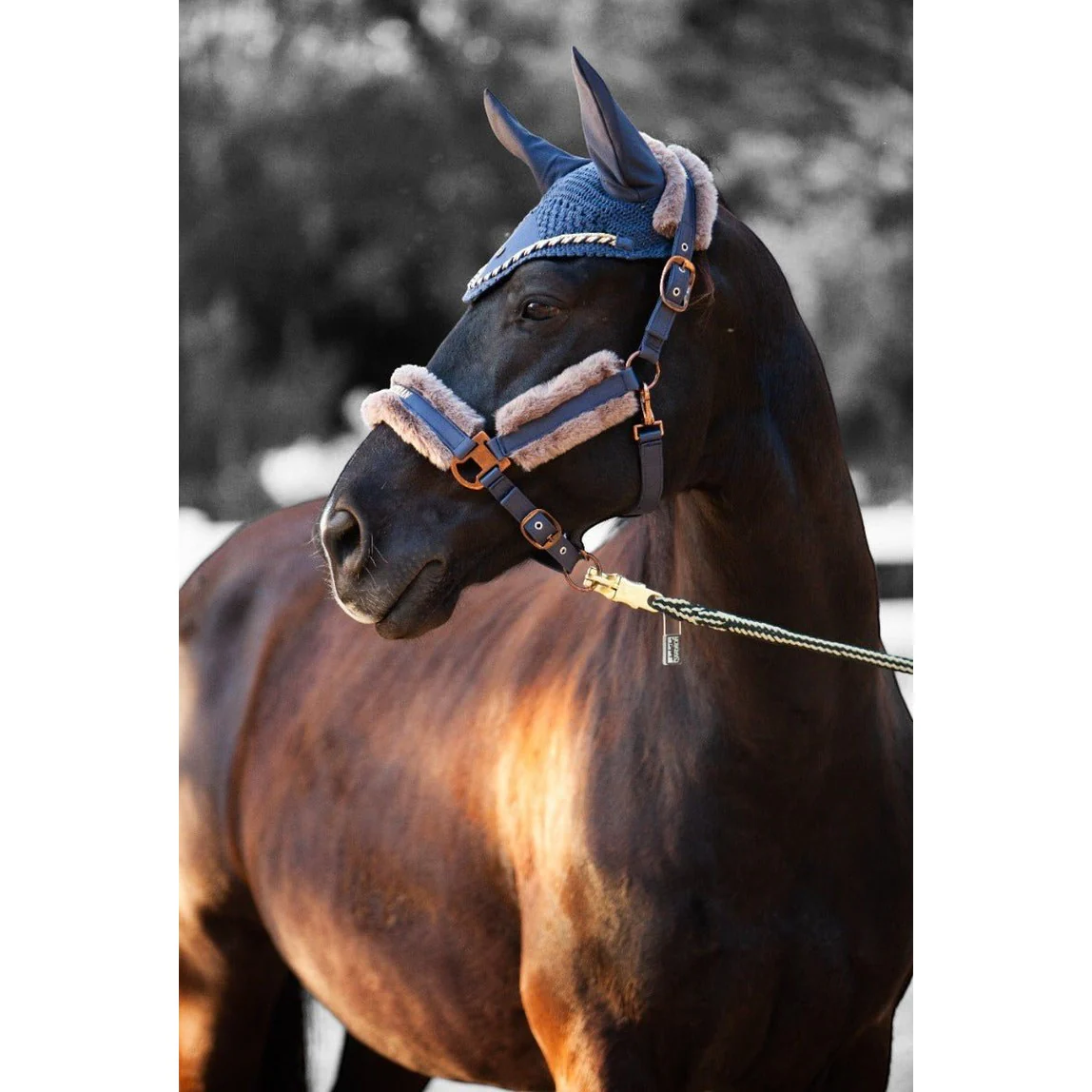 Royal Equestrian Fur Halter Navy Full - Image 7