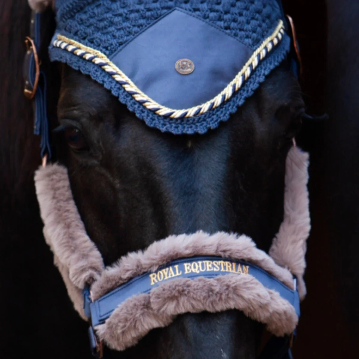 Royal Equestrian Fur Halter Navy Full - Image 8