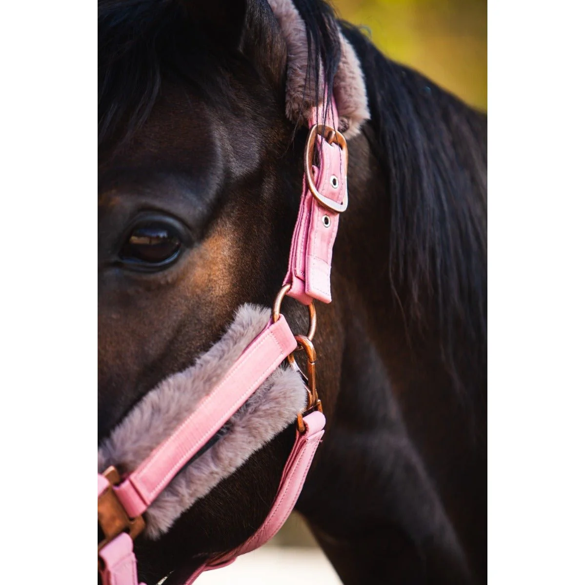 Royal Equestrian Fur Halter Pink Full - Image 6