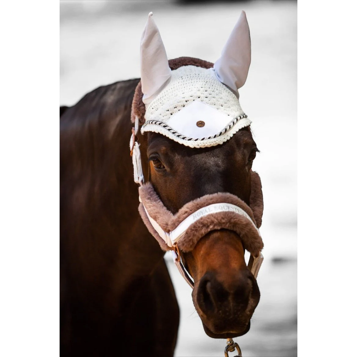 Royal Equestrian Fur Halter White Full - Image 5