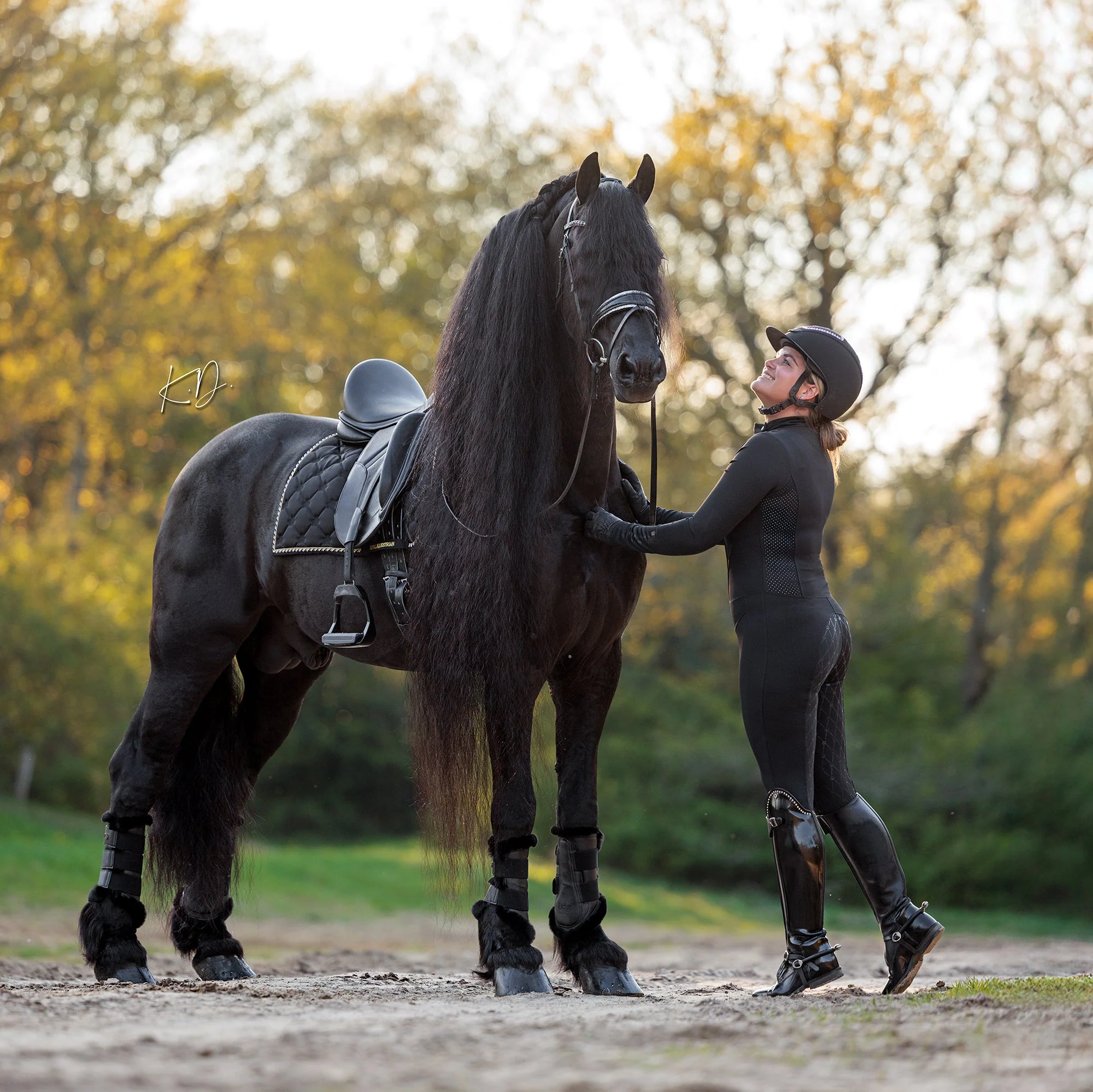 Royal Equestrian Riding Jumpsuit La Performance Cleopatra Black - Image 16