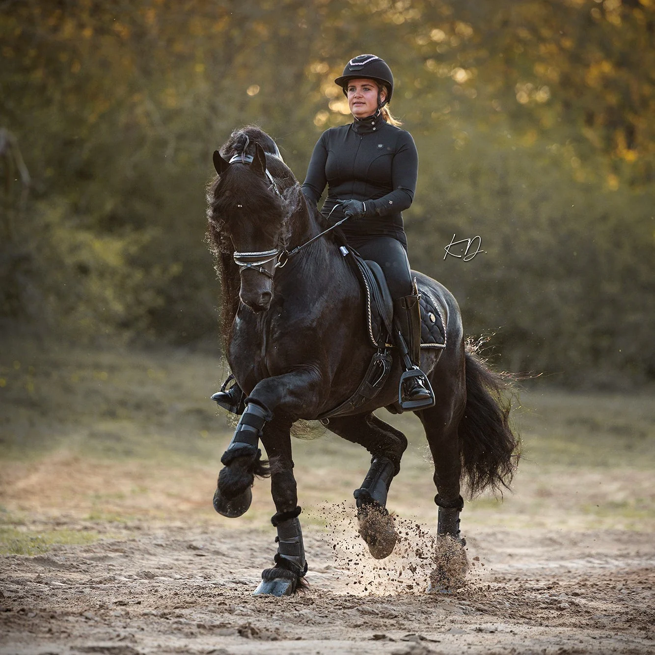 Royal Equestrian Riding Jumpsuit La Performance Cleopatra Black - Image 17
