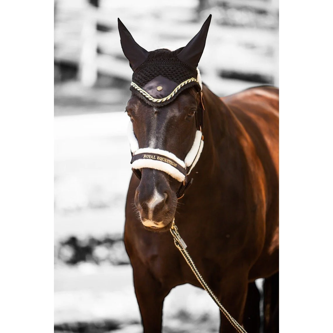 Royal Equestrian Premium Ear Bonnet Black Gold Full - Image 3