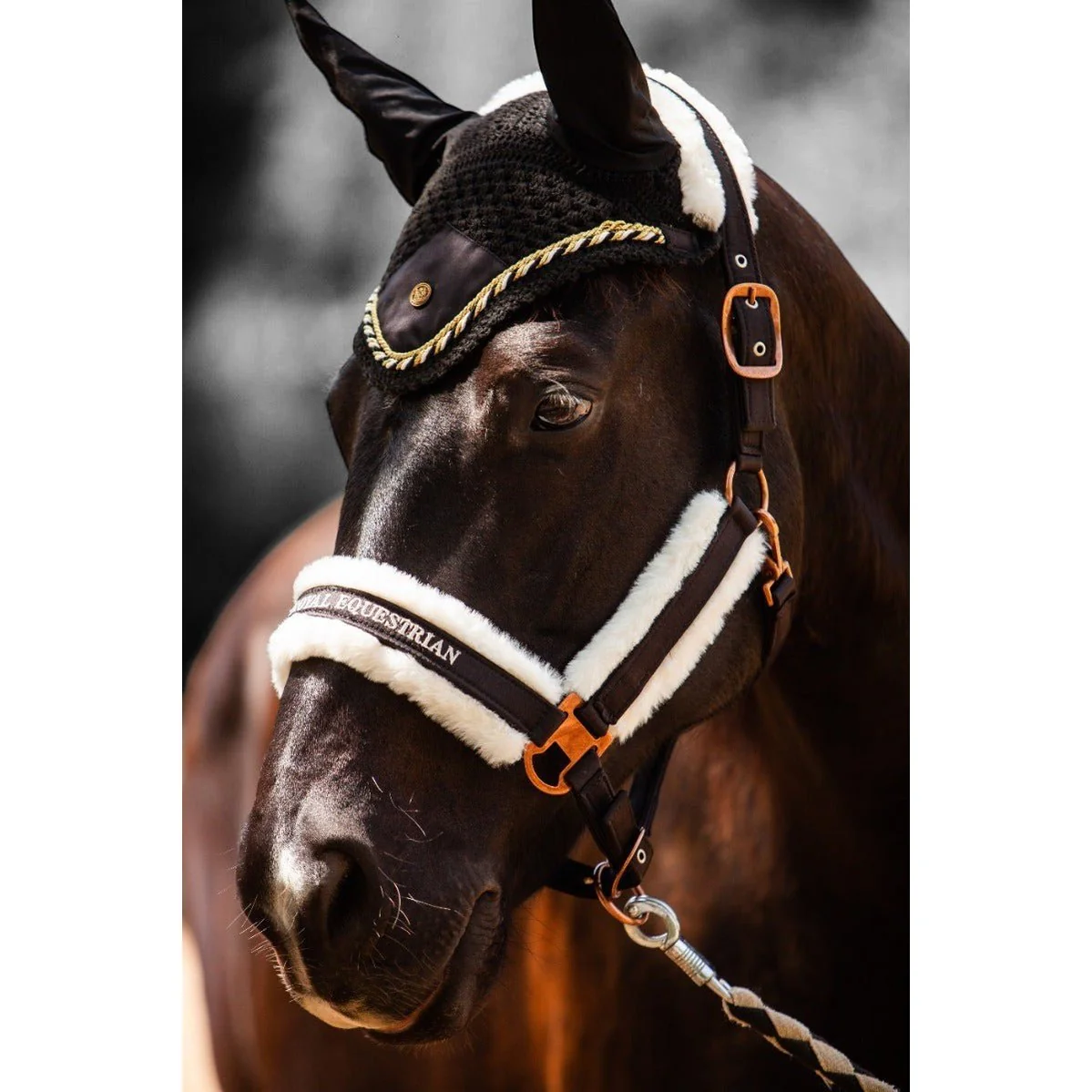 Royal Equestrian Premium Ear Bonnet Black Gold Full - Image 5