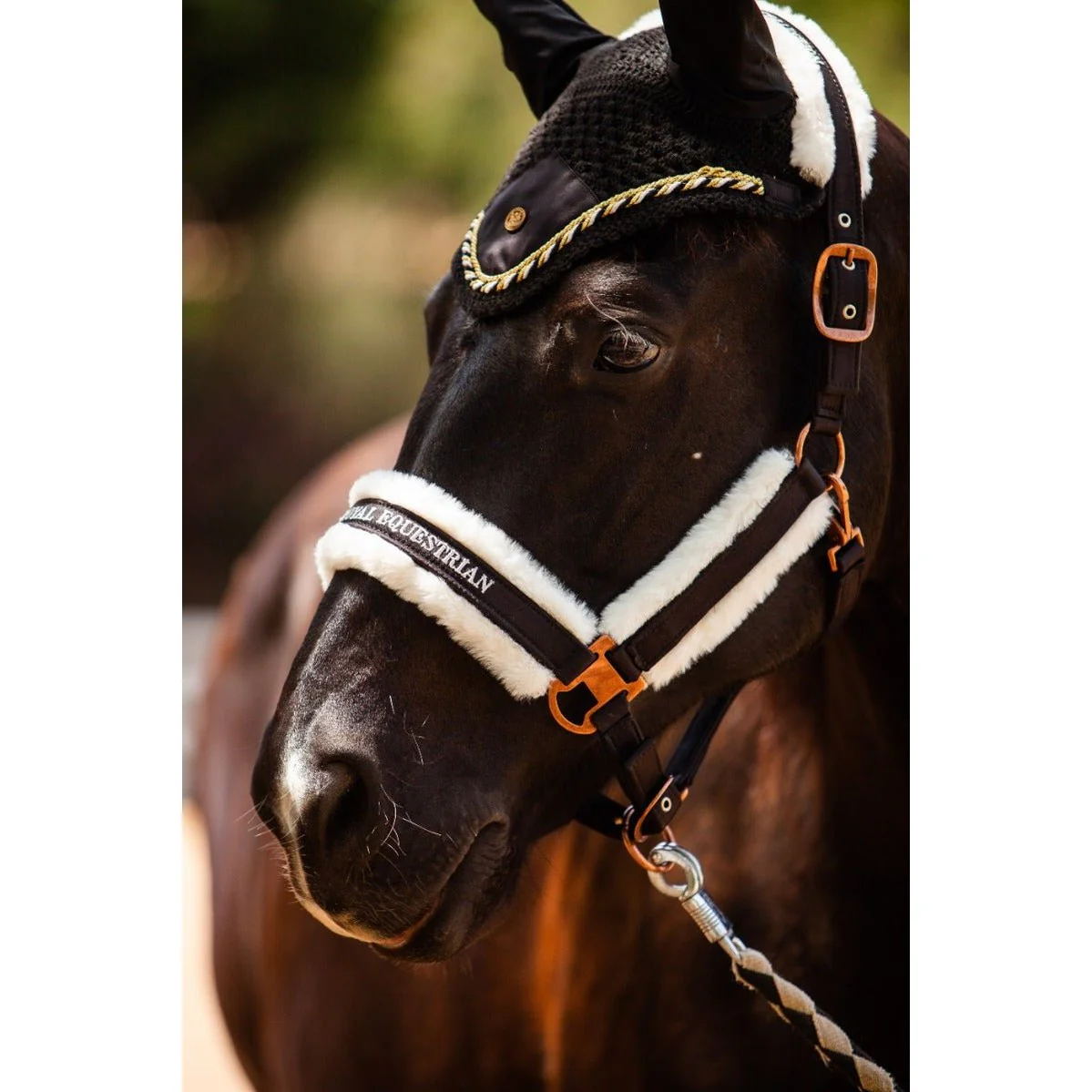 Royal Equestrian Premium Ear Bonnet Black Gold Full - Image 7