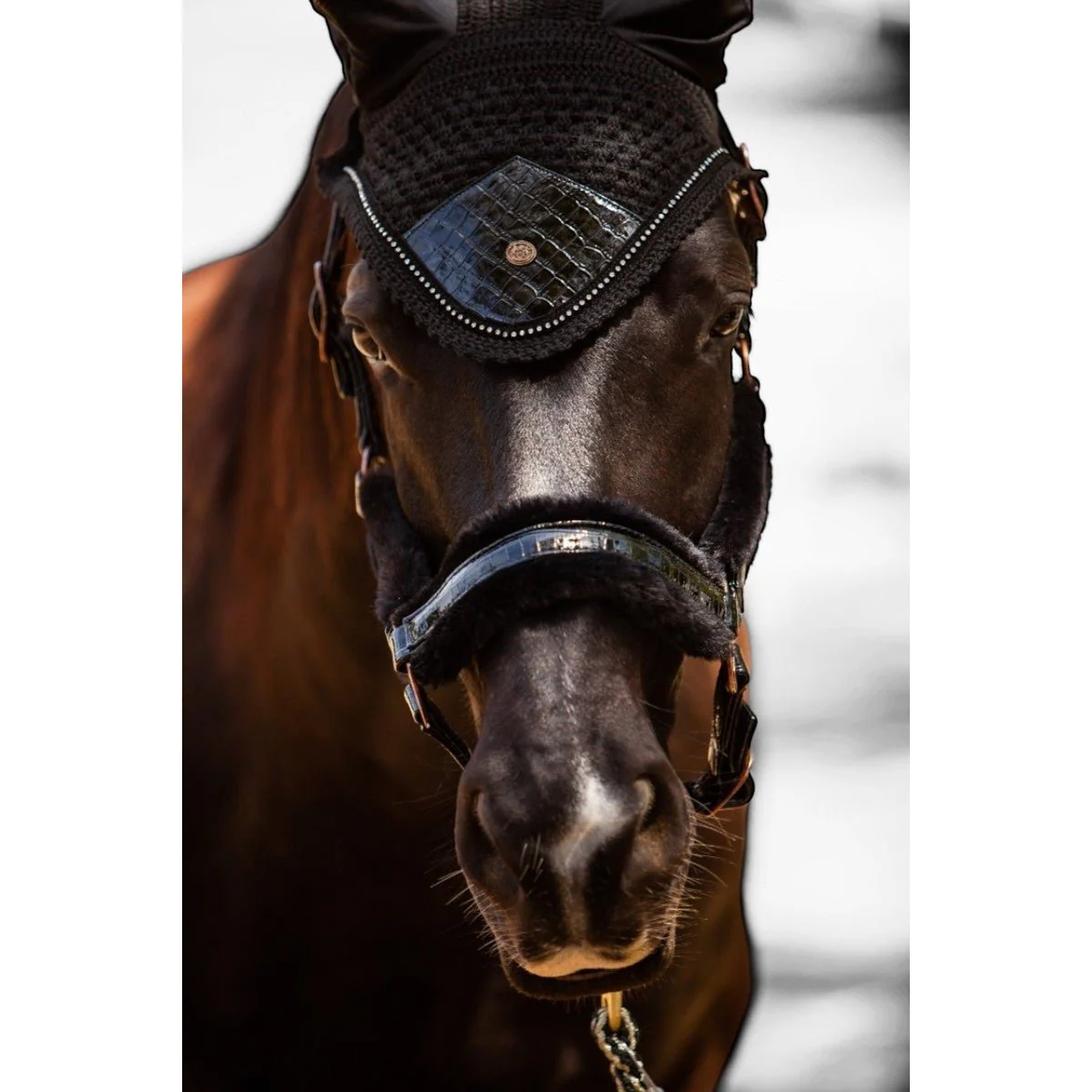 Royal Equestrian Premium Ear Bonnet Croco Black Crystal Full - Image 4