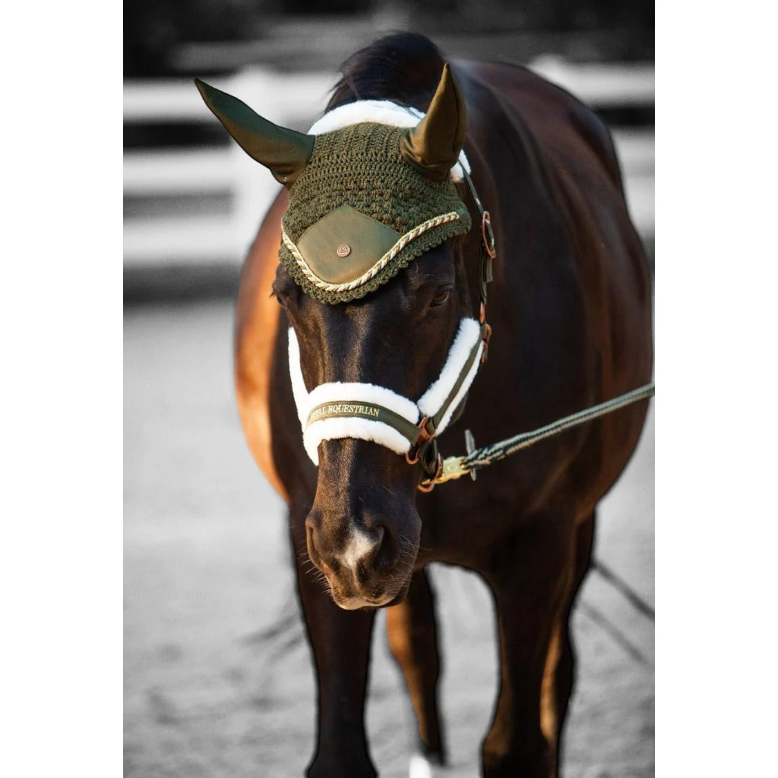 Royal Equestrian Premium Ear Bonnet Olive Full - Image 5