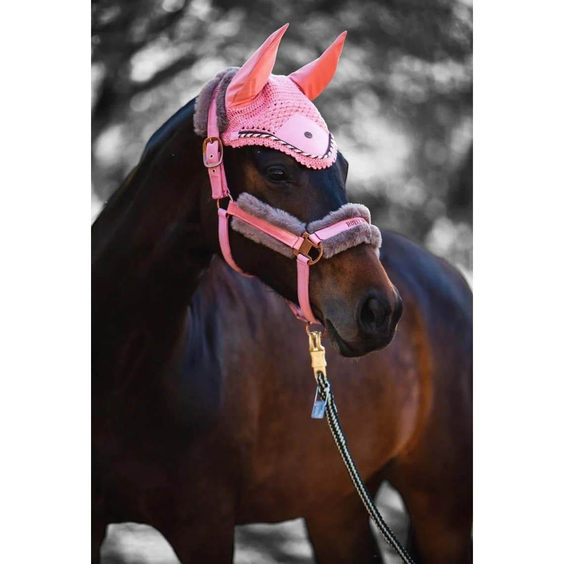 Royal Equestrian Premium Ear Bonnet Pink Full - Image 3
