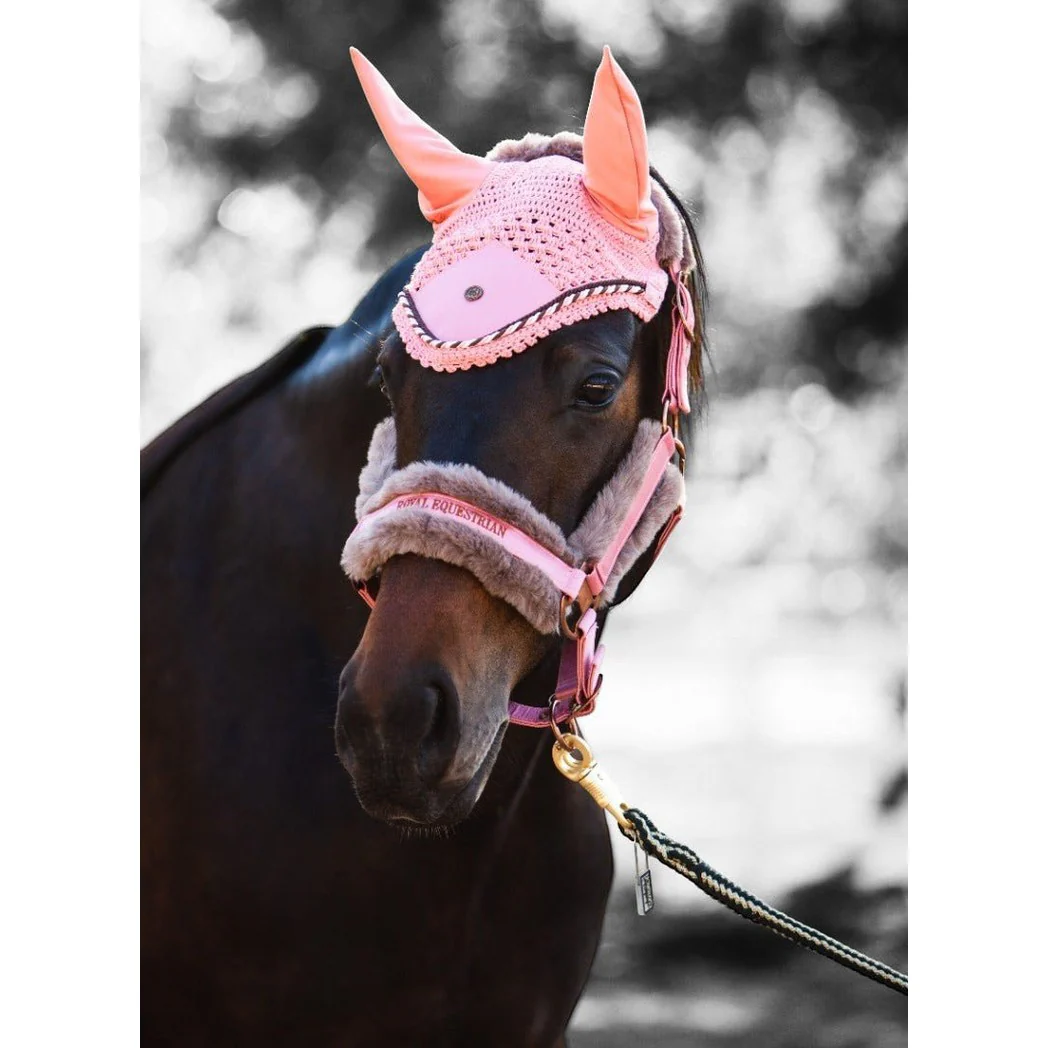 Royal Equestrian Premium Ear Bonnet Pink Full - Image 4