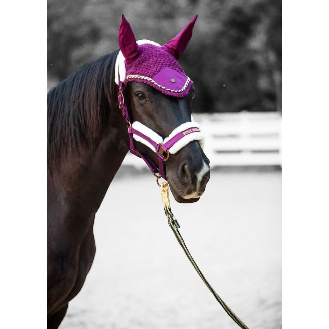 Royal Equestrian Premium Ear Bonnet Purple Navy Full - Image 3