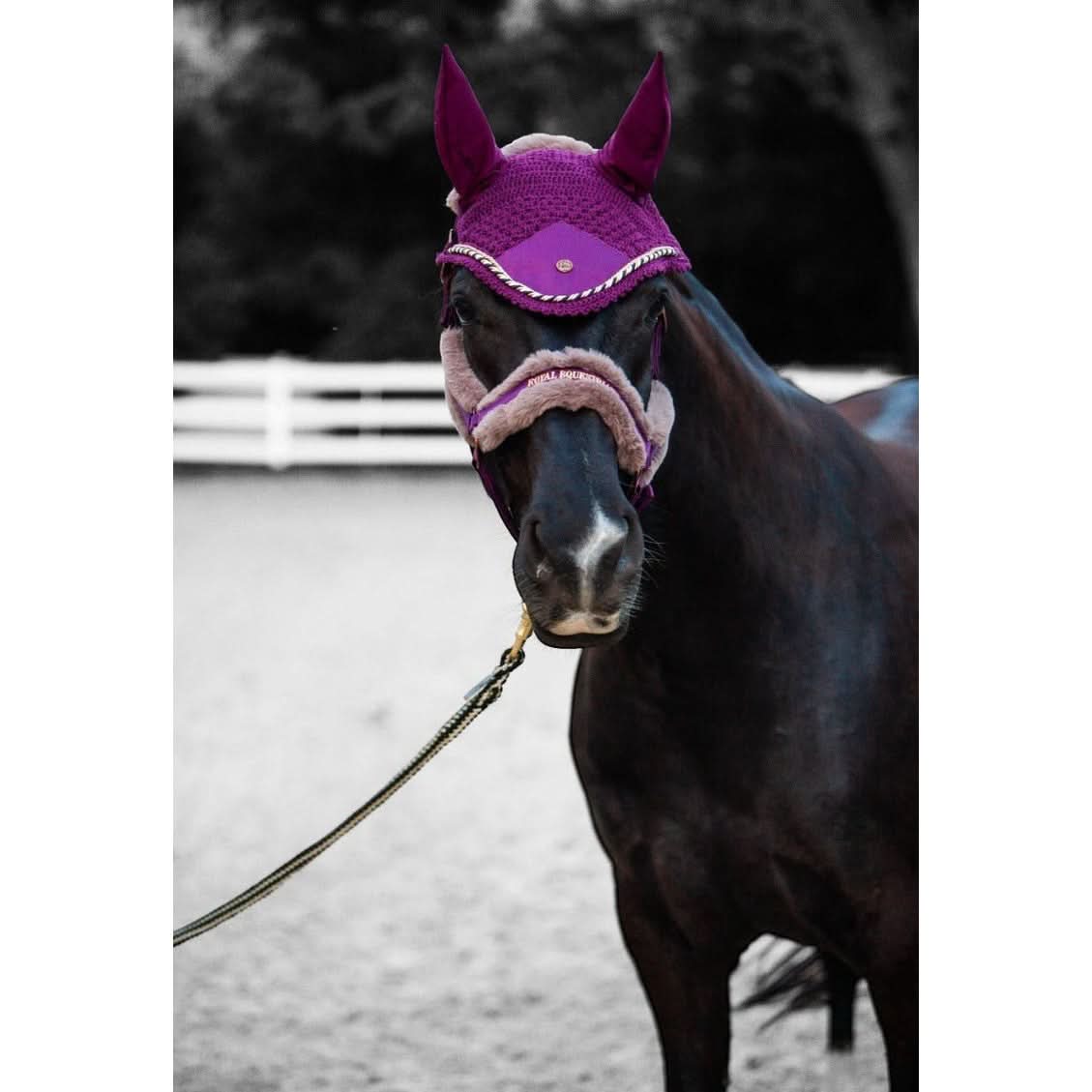Royal Equestrian Premium Ear Bonnet Purple Navy Full - Image 5