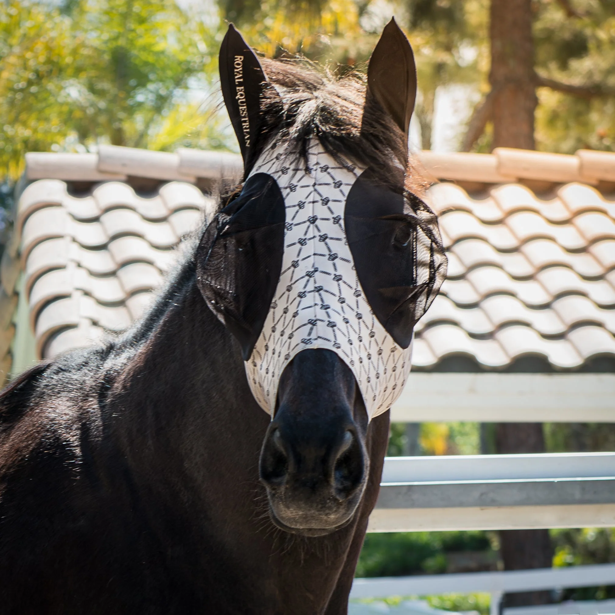 Royal Equestrian Regalia di Roma Fly Mask Sand - Image 3