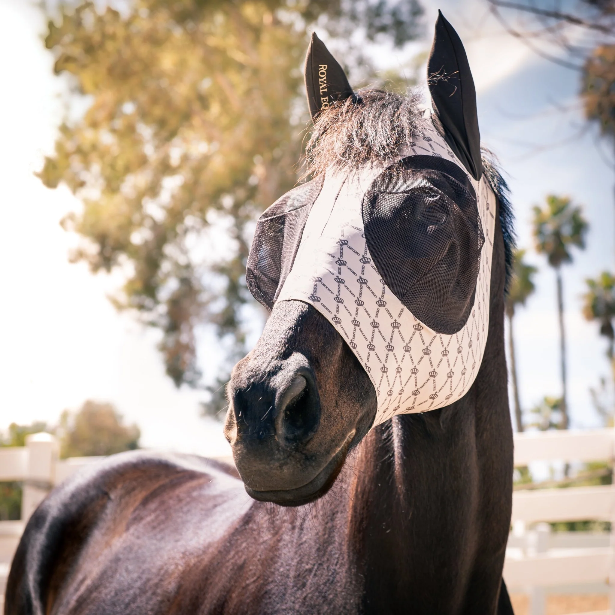 Royal Equestrian Regalia di Roma Fly Mask Sand - Image 5